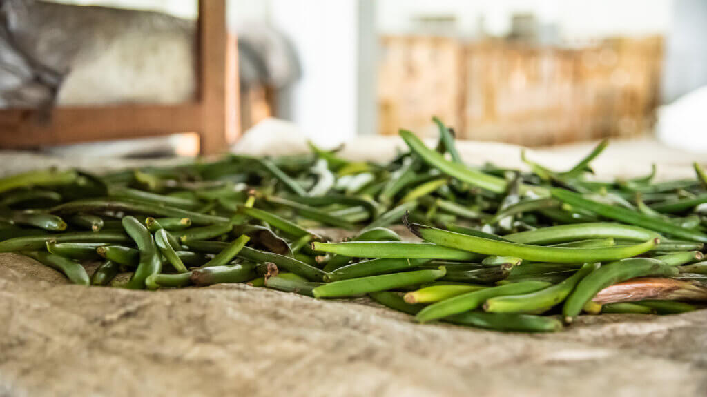 Uncured Vanilla Beans
