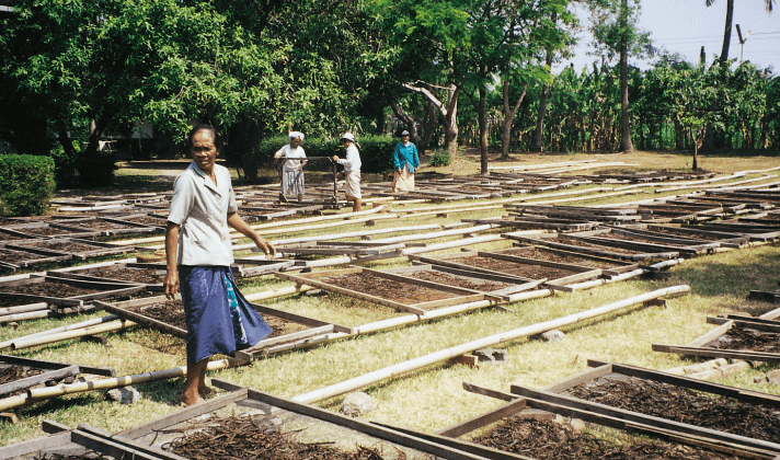Female organic fairtrade vanilla farmer
